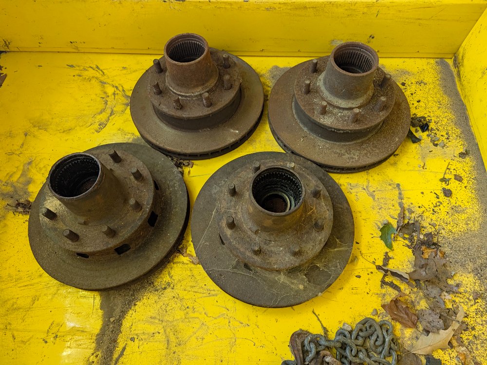 PXL_20261022_175010414.jpg