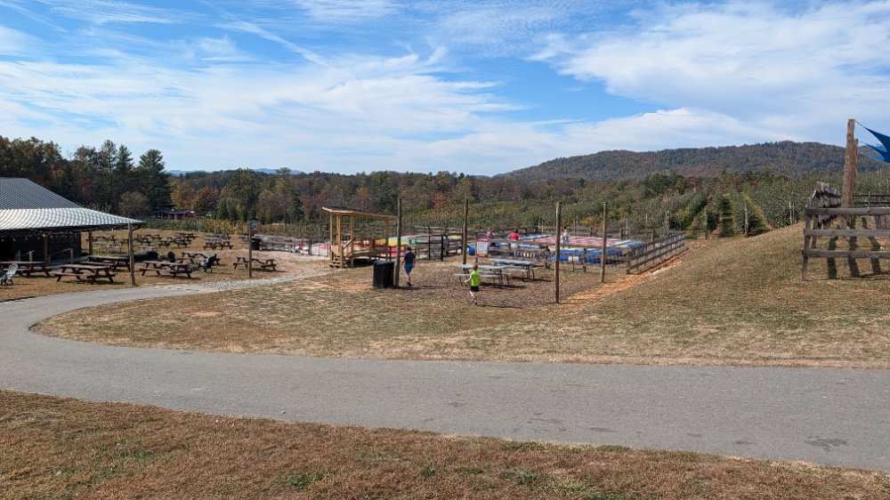 PXL_20261028_164117520.jpg