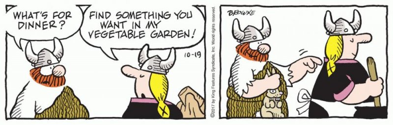 rabbit.jpg