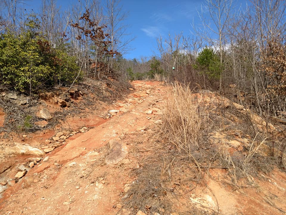random trails 2.jpg