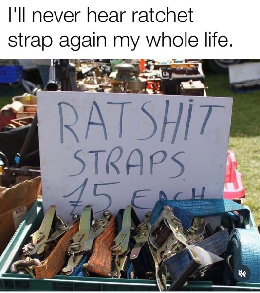 rat.jpeg