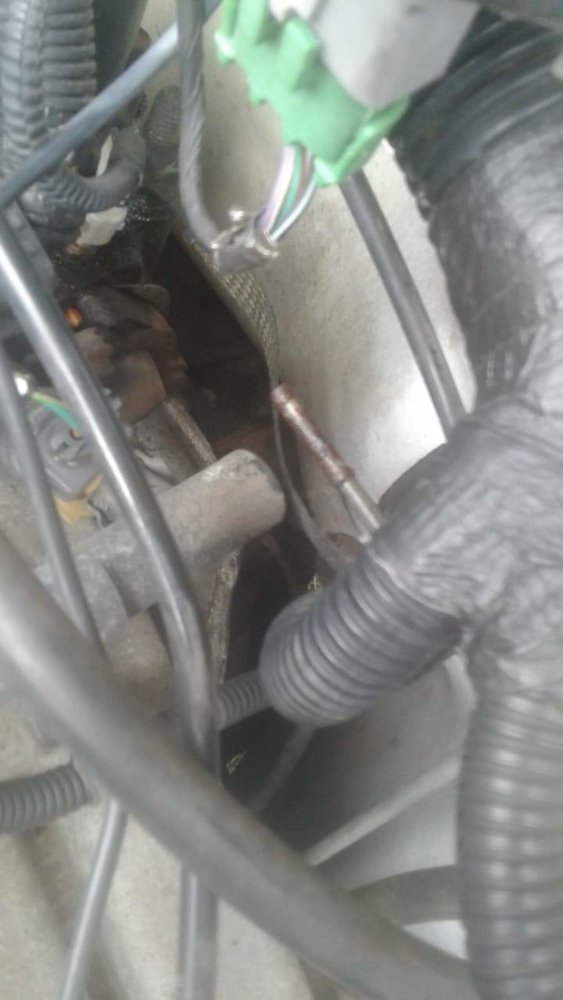 received_2275993105846767.jpeg