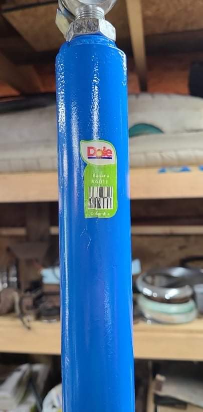 received_313409657113294.jpeg
