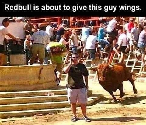 red bull.png