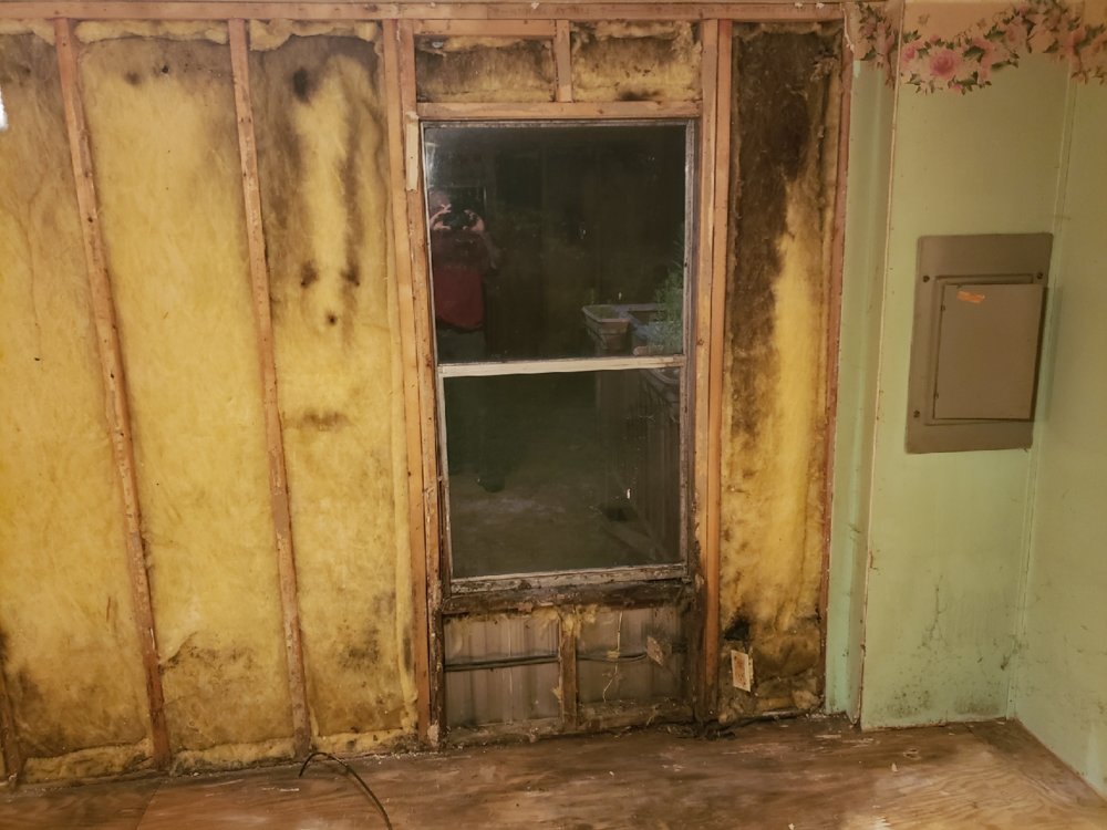 Resized_20180522_235401(1).jpeg.jpg