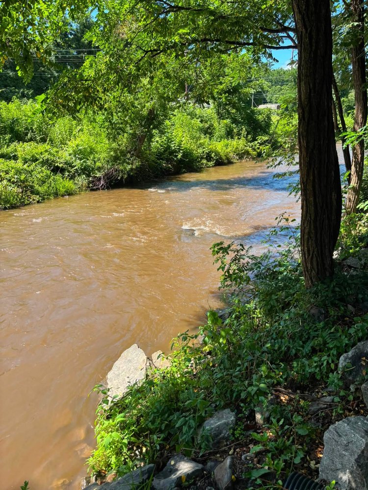 River Frog Level.jpg