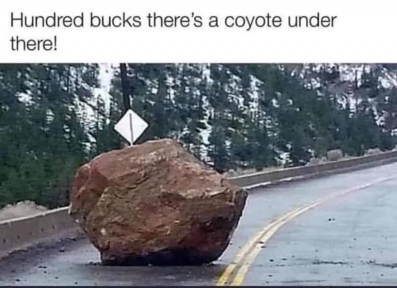 rock.jpeg