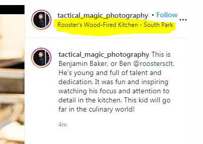 roosters.JPG