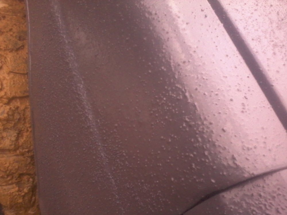 rough paint fender.jpg