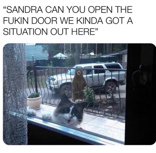 sandra.jpeg