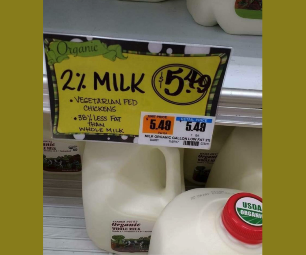 Screen Shot 2023-11-19 at 11.56.54 PM.png