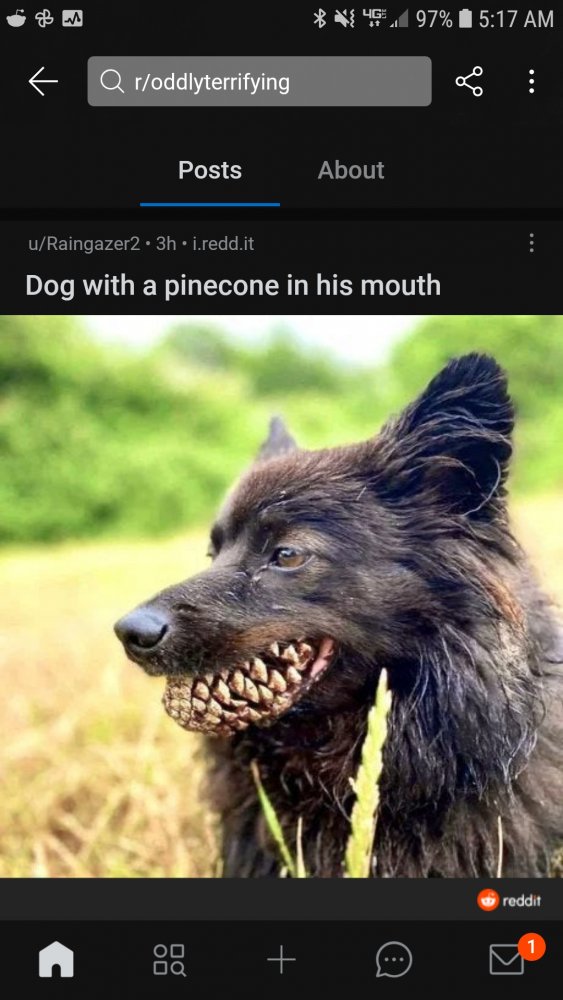 Screenshot_20210313-051706_Reddit.jpg