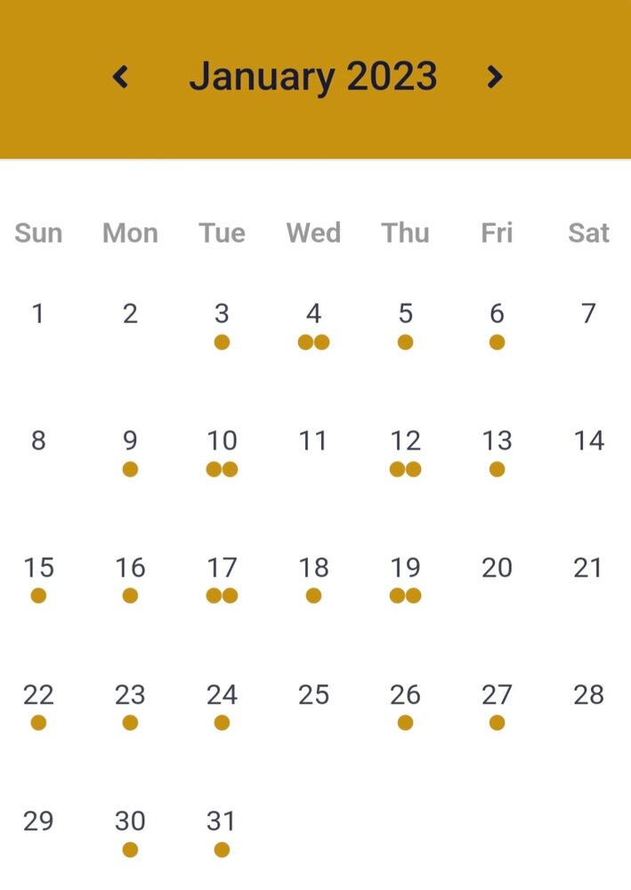 Screenshot_20230208-134918_Samsung Internet.jpg