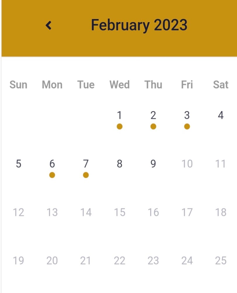 Screenshot_20230208-134925_Samsung Internet.jpg