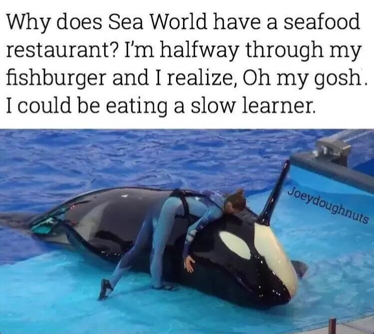 Seaworld copy.jpg