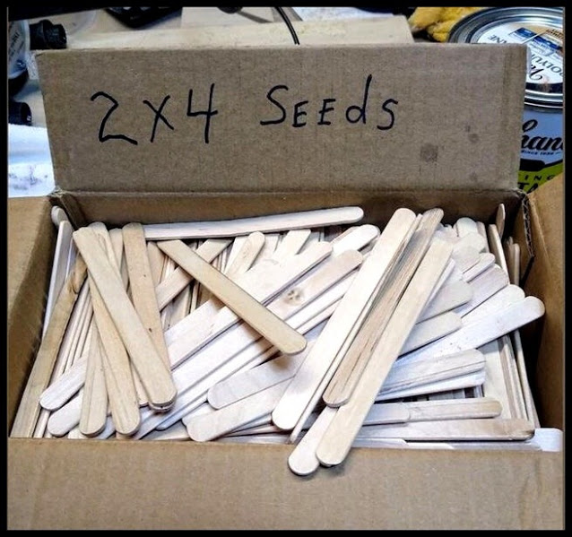seeds.jpeg
