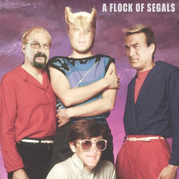segals.jpeg