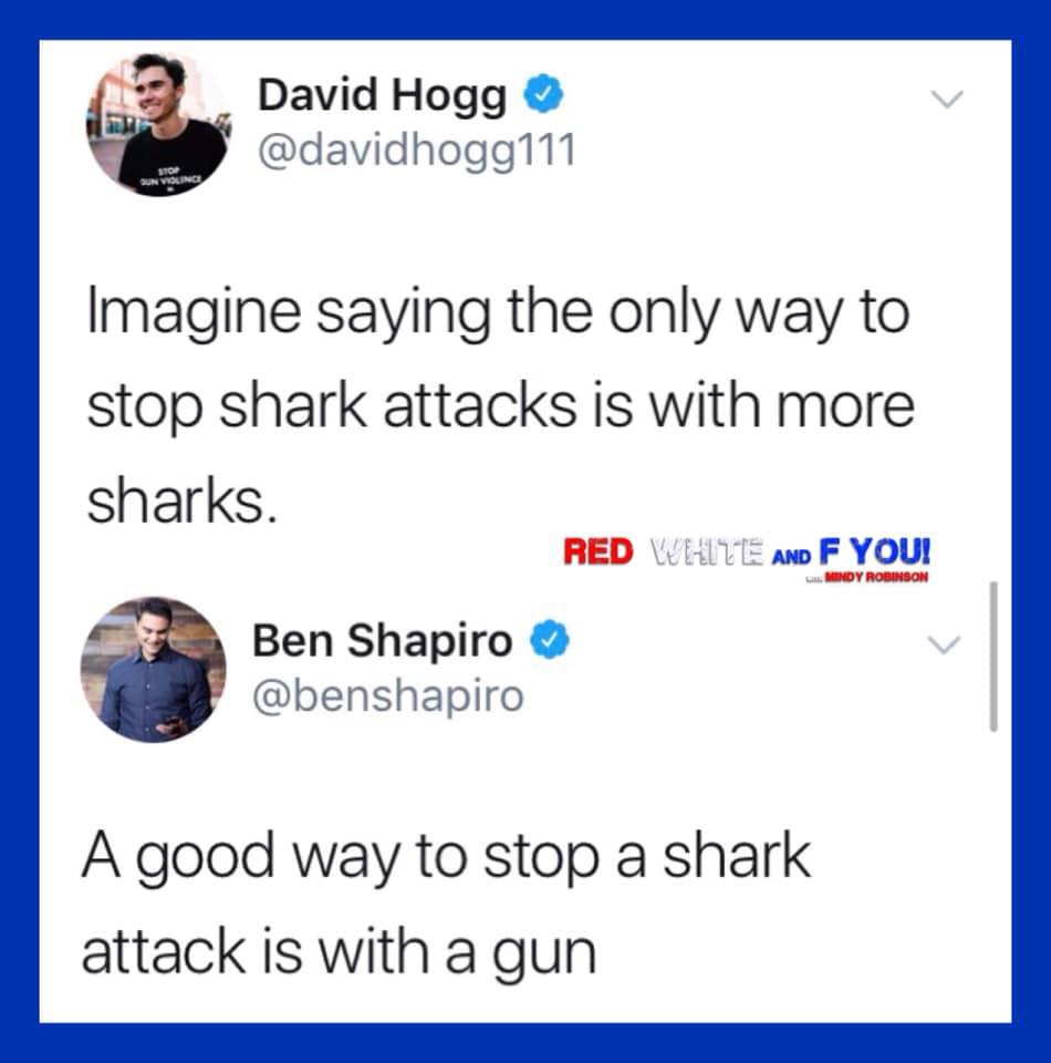 shark meme.jpg