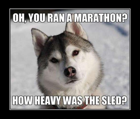 sled.png