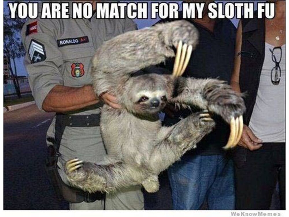 SlothFoo1500-5b046d8a1d640400376530d5.jpg