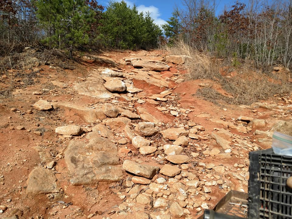 small rock garden.jpg