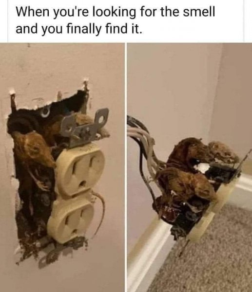 smell.jpg
