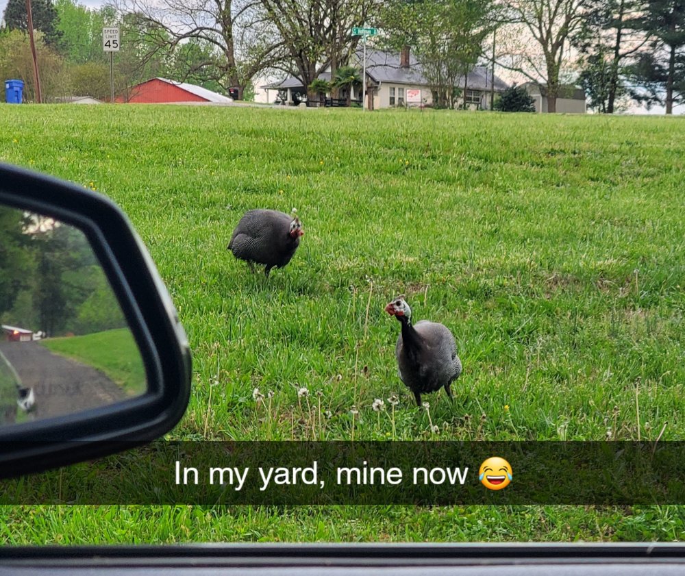 Snapchat-805391023.jpg