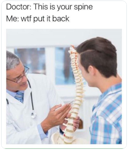 spine.png