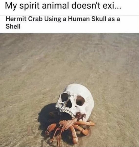spirit.jpeg