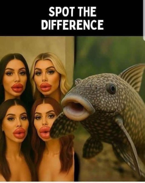 spot.jpeg