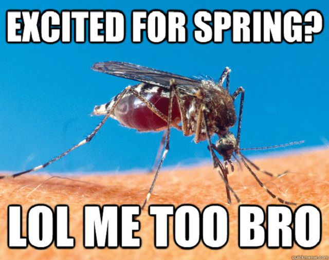 spring.png