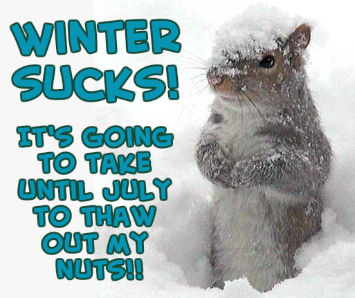 Squirrels_Nuts_Frozen.png