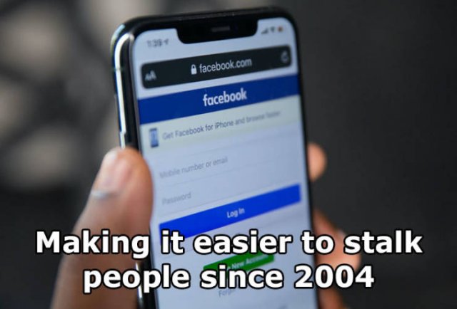 stalk.jpg
