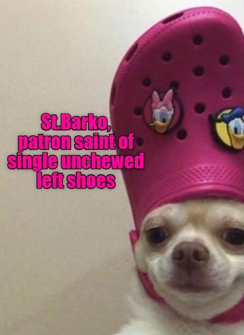 stbarko-patron-saint-of-single-unchewed-left-shoes.jpg