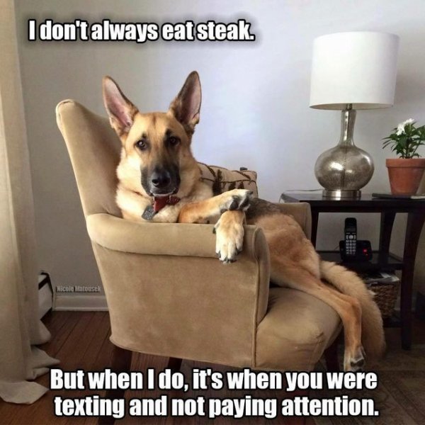 steak.jpg
