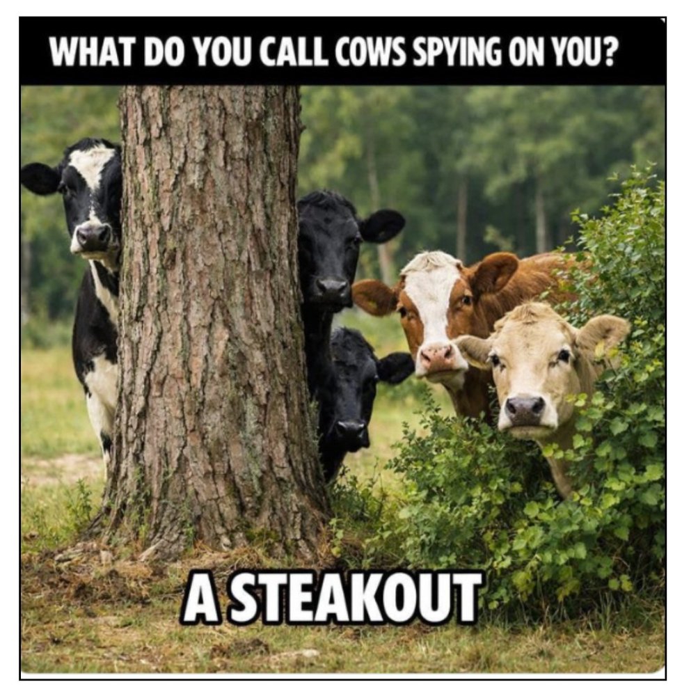 steak.jpg