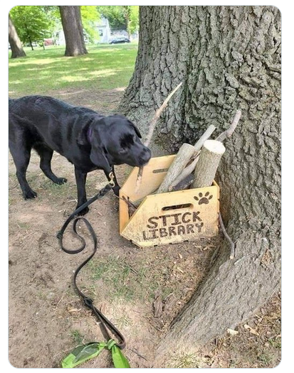 stick.png