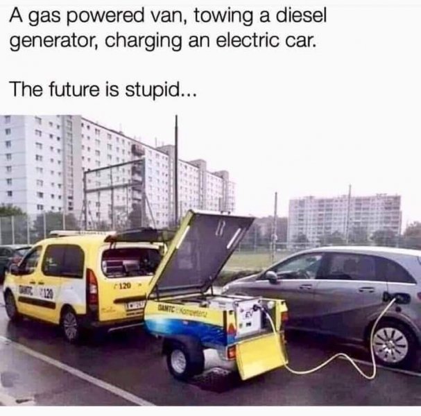 stupid.jpeg