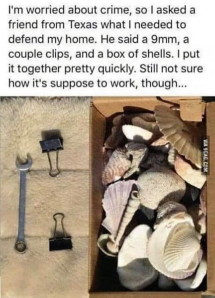 stupid.jpg
