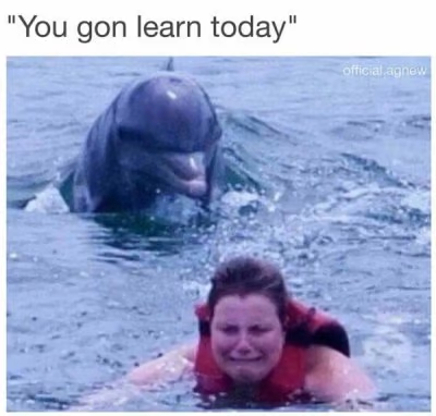 swim.png