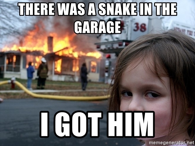 there-was-a-snake-in-the-garage-i-got-him.jpg