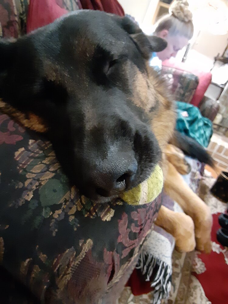 tired.jpg