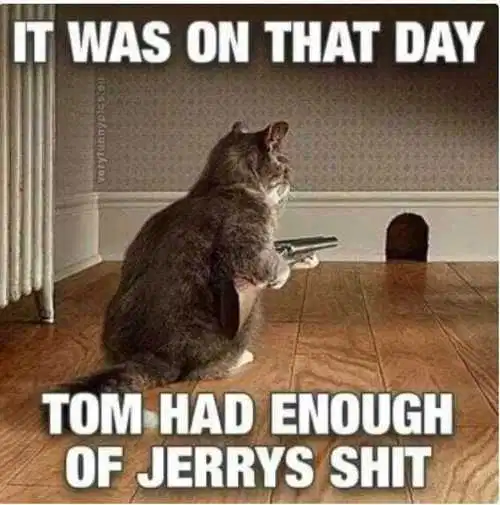 tom.png