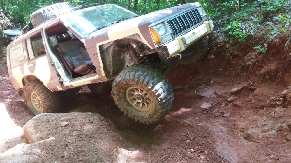 top of Ol Stumpy flex.jpg