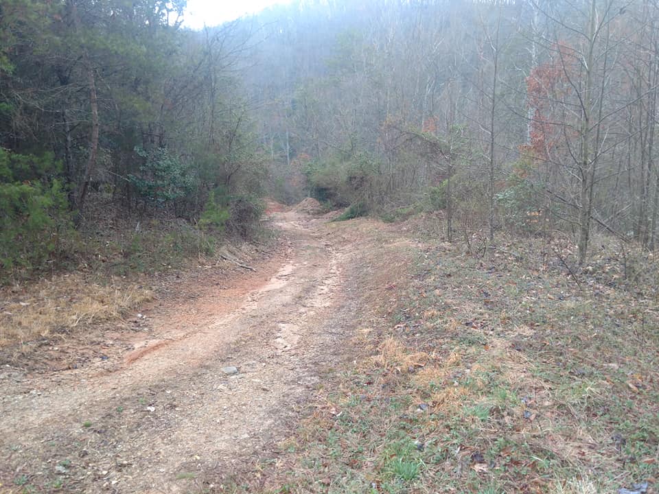 trail 1.jpg