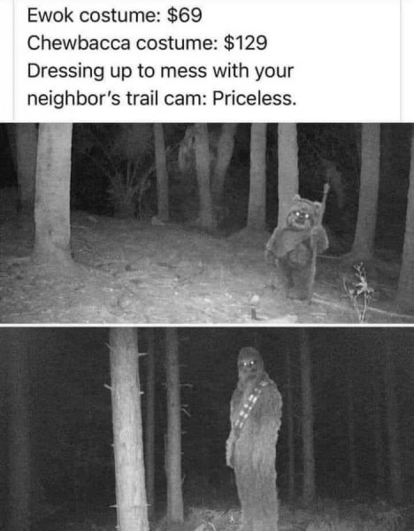 Trail Cam.JPG