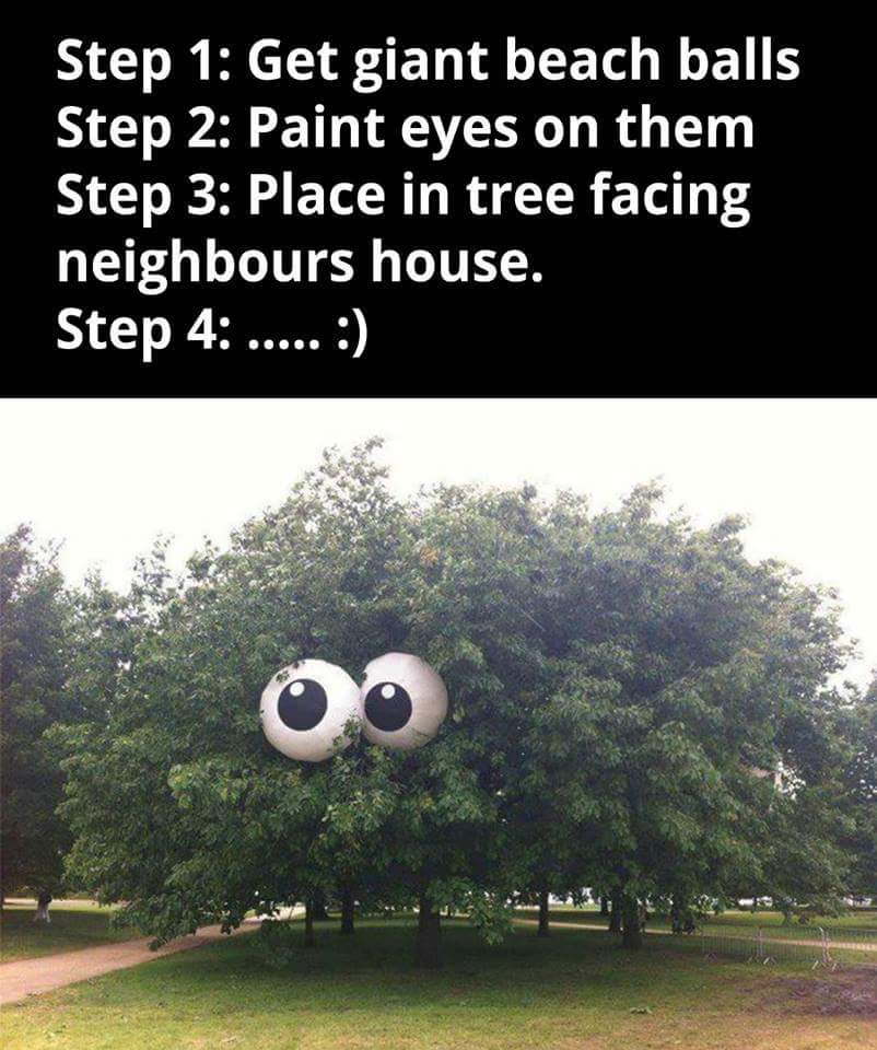 tree eyes.jpg