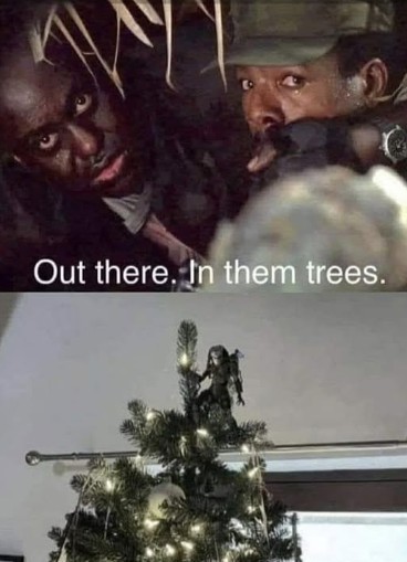 trees.jpeg