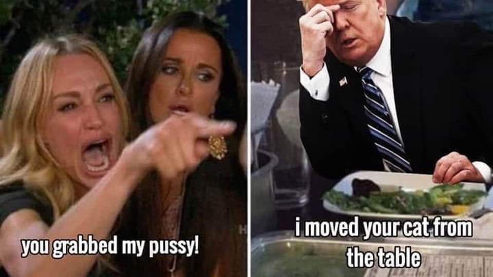 trump cat meme.jpg