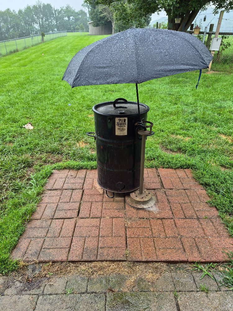 umbrella.jpg